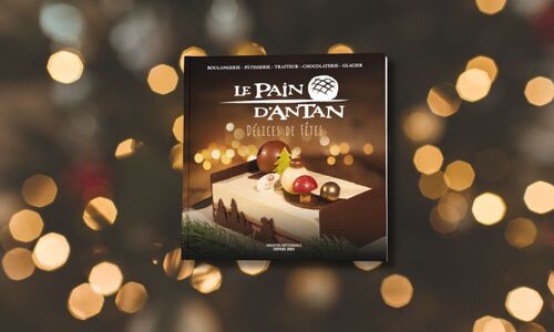 Gâteaux de Nouvel An et bûches artisanales de Noël : découvrez notre catalogue “Délices de Fêtes” 2025